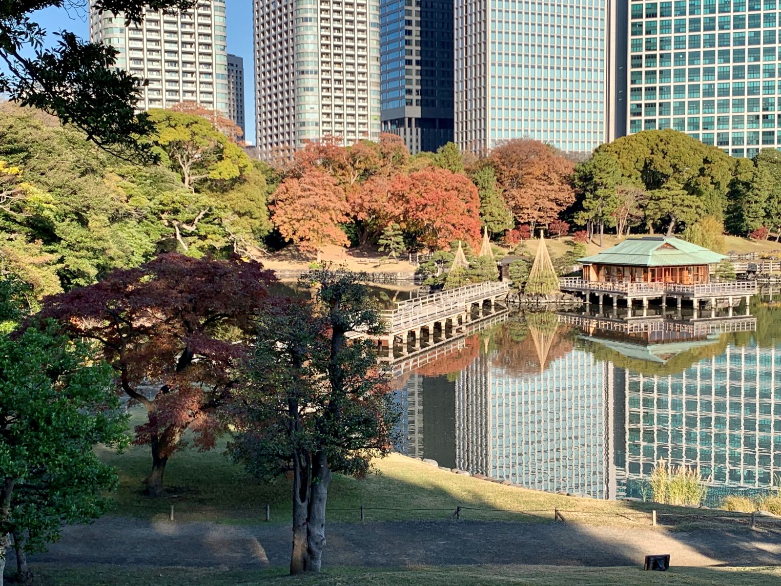 浜離宮恩賜庭園